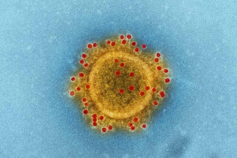 Vagina Infections