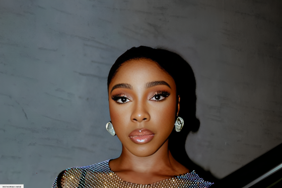 Nissi Ogulu Shines In A Rhinestone Mesh Dress
