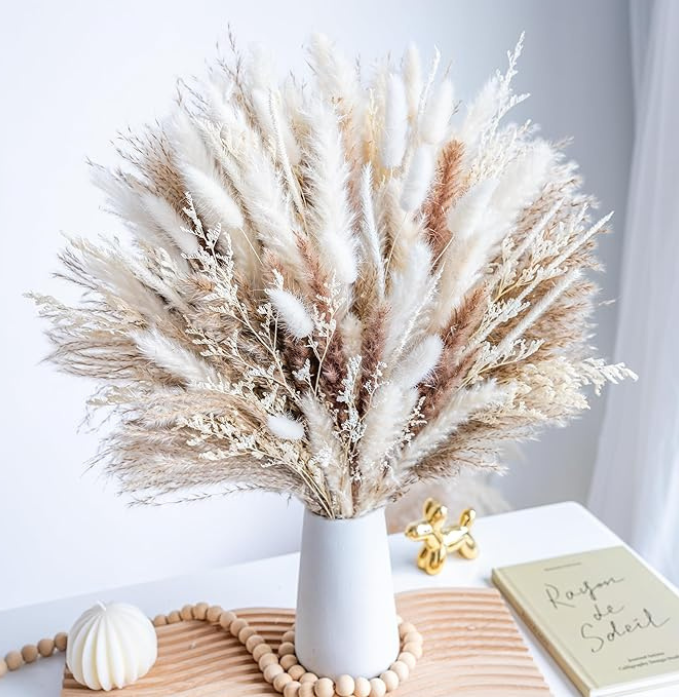 Natural Dried Pampas Grass