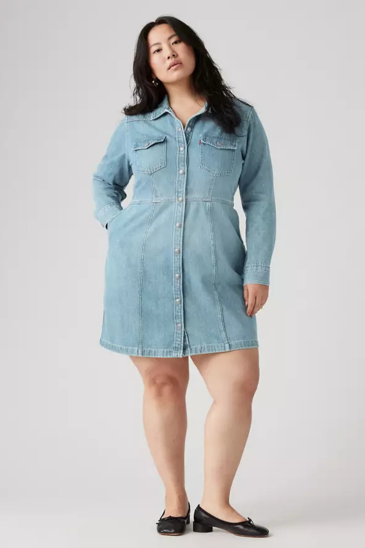 Plus Size Dresses with Sleeves