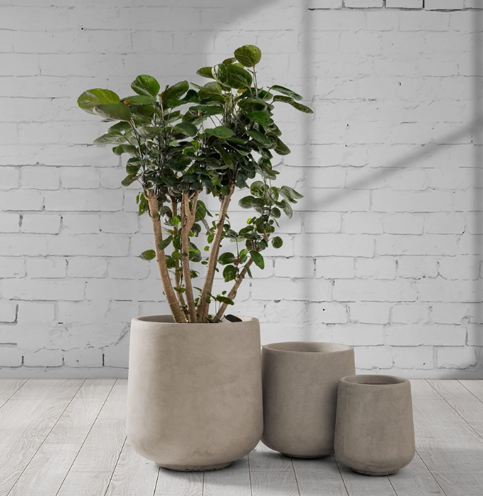 Kante Dia Round Concrete Planter Set
