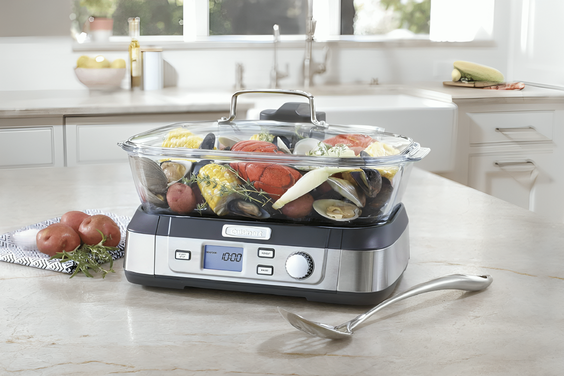 Best Electric Steamer for Food