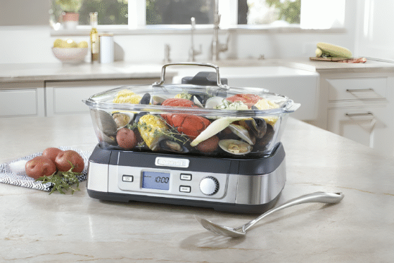 Best Electric Steamer for Food