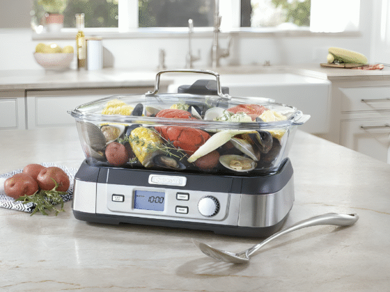 Best Electric Steamer for Food