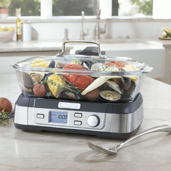 Best Electric Steamer for Food