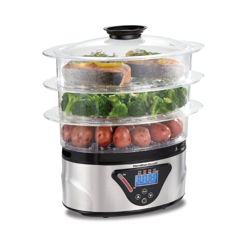 Best electric steamer for food